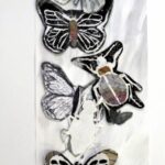 bug-prints-drawings-5